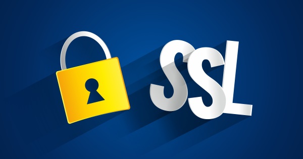 Wie funktioniert der SSL-Schutz?